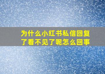 为什么小红书私信回复了看不见了呢怎么回事