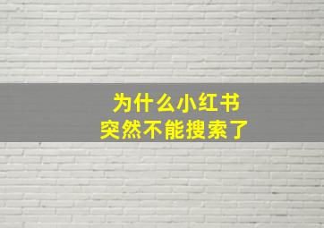 为什么小红书突然不能搜索了