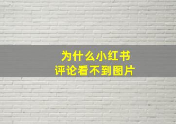 为什么小红书评论看不到图片