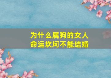 为什么属狗的女人命运坎坷不能结婚