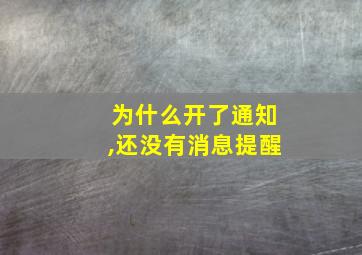 为什么开了通知,还没有消息提醒