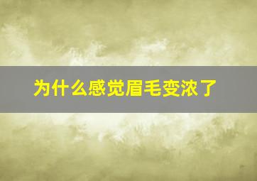 为什么感觉眉毛变浓了