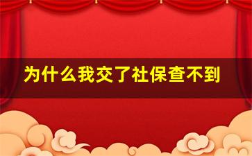 为什么我交了社保查不到