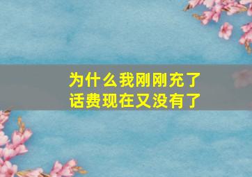 为什么我刚刚充了话费现在又没有了