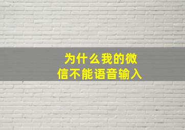 为什么我的微信不能语音输入