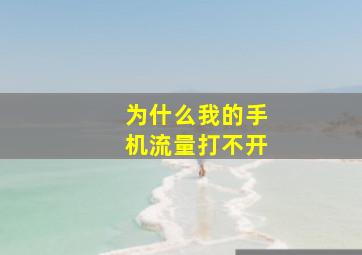 为什么我的手机流量打不开