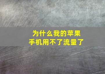 为什么我的苹果手机用不了流量了