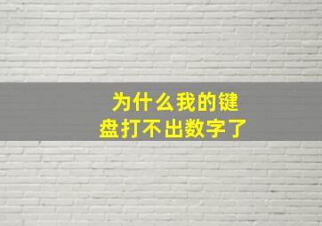 为什么我的键盘打不出数字了