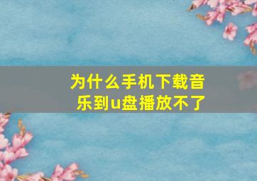 为什么手机下载音乐到u盘播放不了