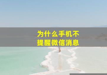 为什么手机不提醒微信消息