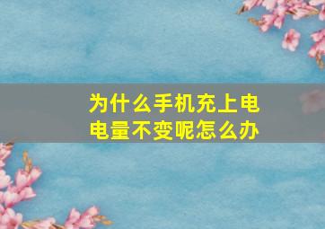 为什么手机充上电电量不变呢怎么办