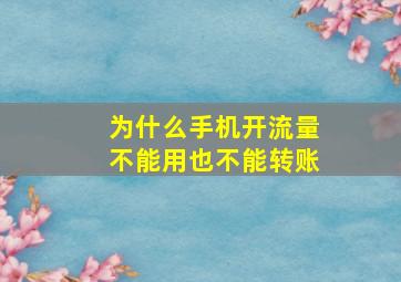 为什么手机开流量不能用也不能转账