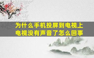 为什么手机投屏到电视上电视没有声音了怎么回事