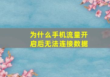 为什么手机流量开启后无法连接数据