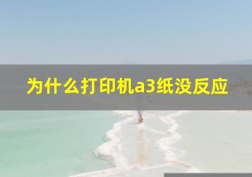 为什么打印机a3纸没反应