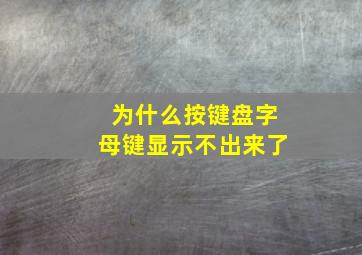 为什么按键盘字母键显示不出来了