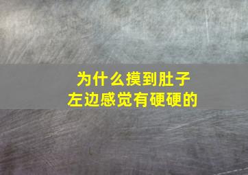 为什么摸到肚子左边感觉有硬硬的