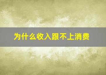 为什么收入跟不上消费