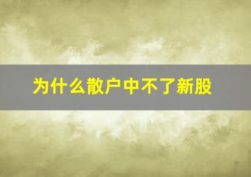 为什么散户中不了新股