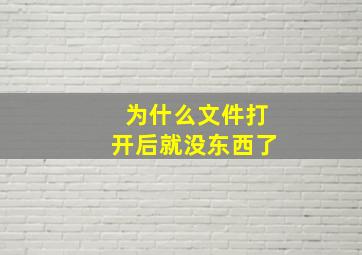 为什么文件打开后就没东西了