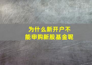 为什么新开户不能申购新股基金呢