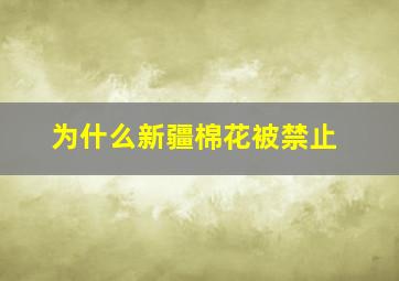 为什么新疆棉花被禁止