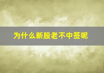 为什么新股老不中签呢