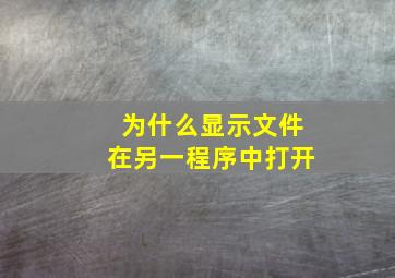 为什么显示文件在另一程序中打开