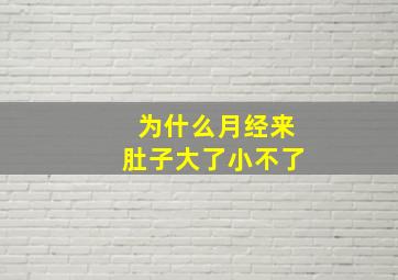 为什么月经来肚子大了小不了