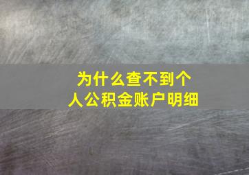 为什么查不到个人公积金账户明细