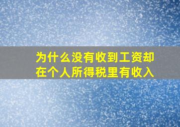 为什么没有收到工资却在个人所得税里有收入