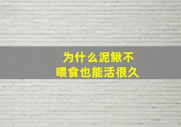 为什么泥鳅不喂食也能活很久