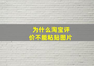 为什么淘宝评价不能粘贴图片