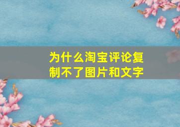 为什么淘宝评论复制不了图片和文字