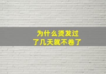 为什么烫发过了几天就不卷了