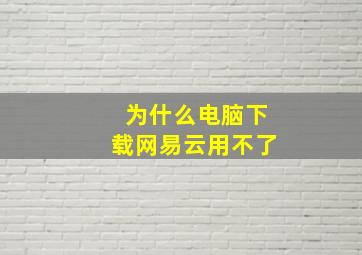 为什么电脑下载网易云用不了