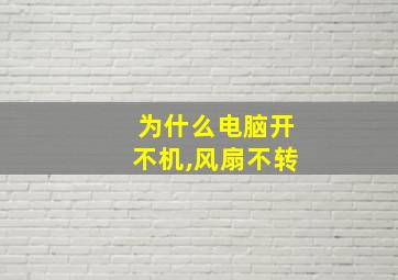 为什么电脑开不机,风扇不转