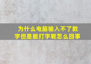 为什么电脑输入不了数字但是能打字呢怎么回事