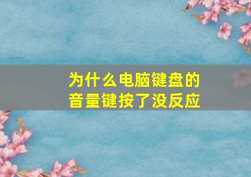 为什么电脑键盘的音量键按了没反应