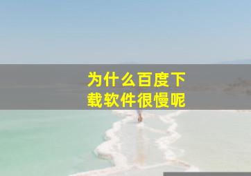 为什么百度下载软件很慢呢