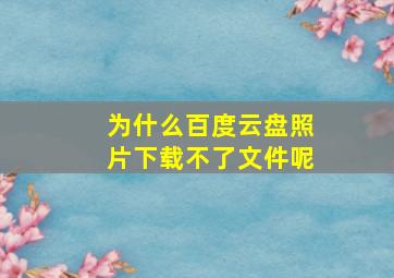 为什么百度云盘照片下载不了文件呢