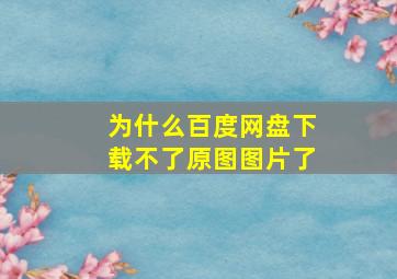 为什么百度网盘下载不了原图图片了