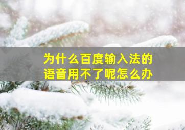 为什么百度输入法的语音用不了呢怎么办