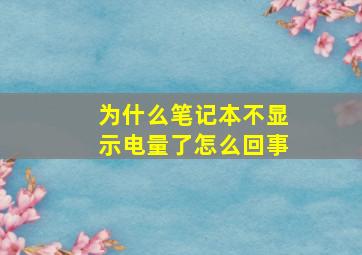 为什么笔记本不显示电量了怎么回事