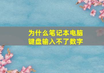 为什么笔记本电脑键盘输入不了数字