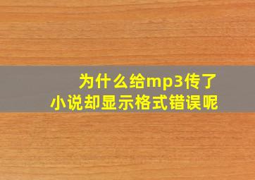 为什么给mp3传了小说却显示格式错误呢