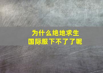 为什么绝地求生国际服下不了了呢