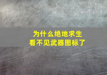 为什么绝地求生看不见武器图标了