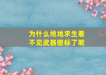 为什么绝地求生看不见武器图标了呢