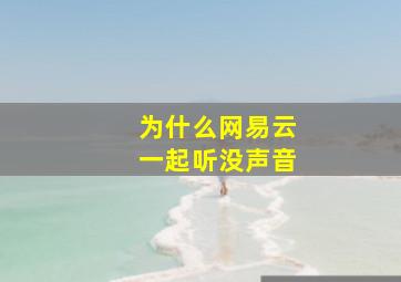 为什么网易云一起听没声音